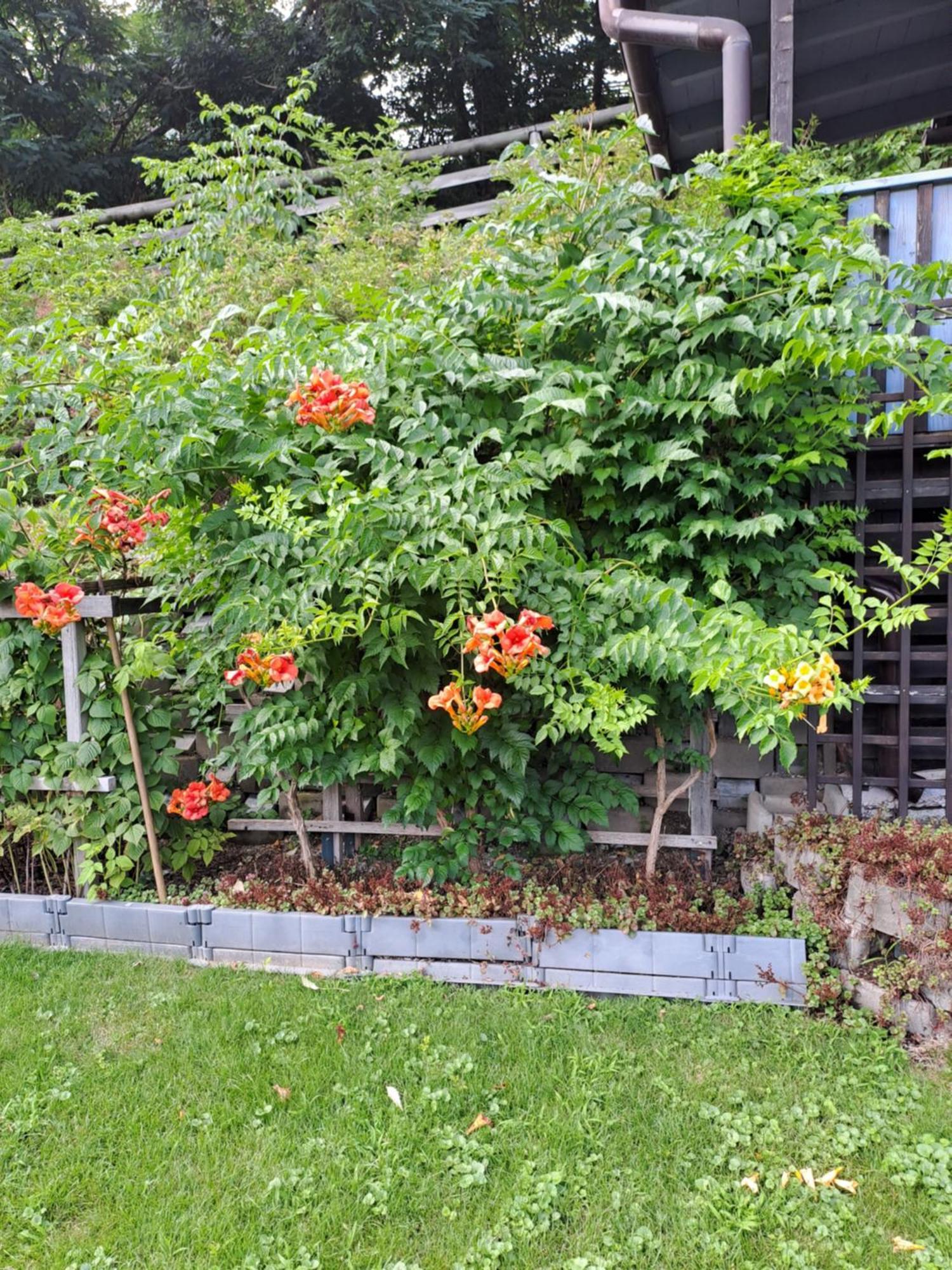 Ferienwohnung Brenner Bruck an der Mur Bagian luar foto